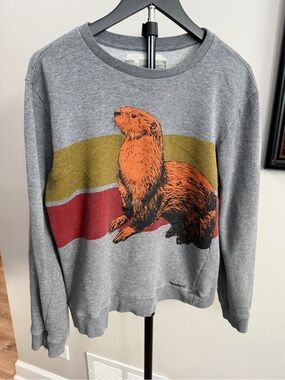 Toddland Gray Crewneck Sweatshirt with Orange Otter Graphic